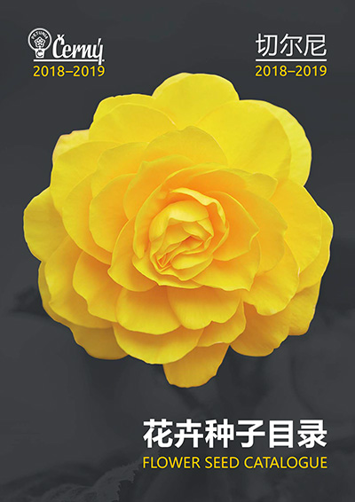 Catalogue