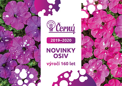 Černý novinky osiv