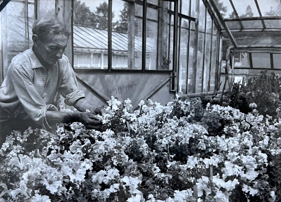 Историческая фотография