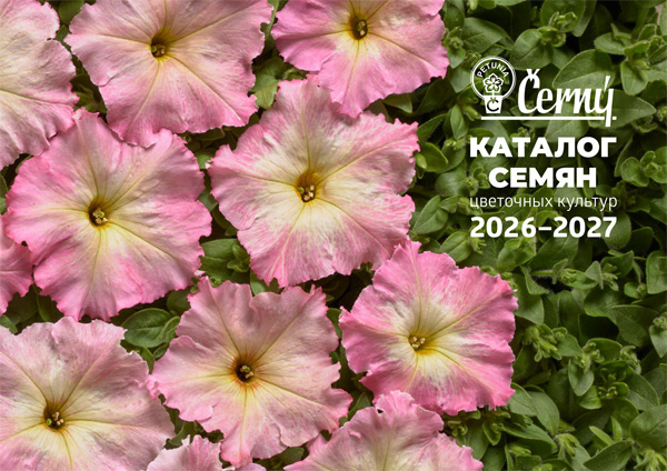 Cerny Seed Catalogue
