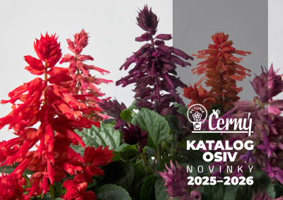 Cerny Seed Novinky 2025