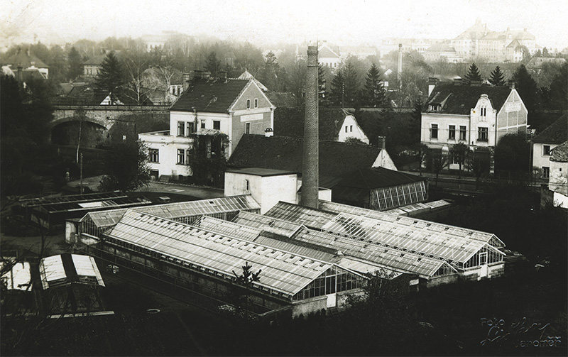 Zahradnictví Františka Černého (1896–1968) ve 40. letech 20. století