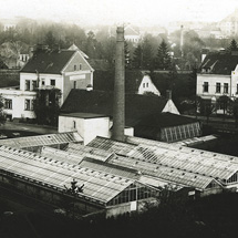 Предприятие Франтишка Чернего (1896–1968) в 40-х годах 20-го века