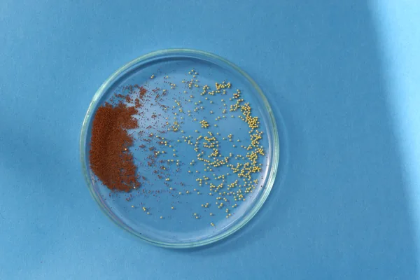 Raw Begonia seeds and Begonia pellets