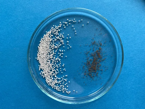 Raw Mimulus seeds and Mimulus pellets