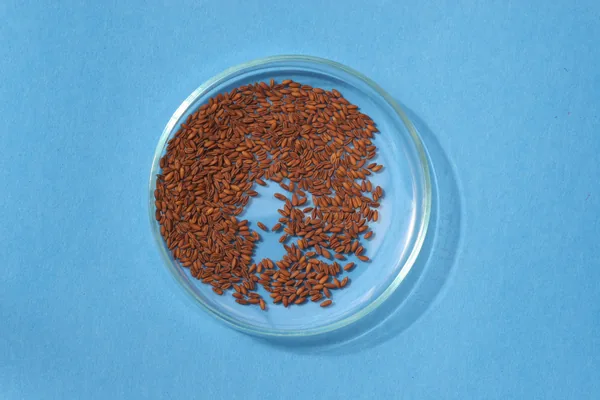Raw (scarified) Geranium seeds